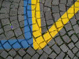 005.gif