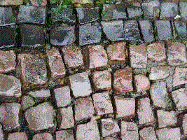 010.gif