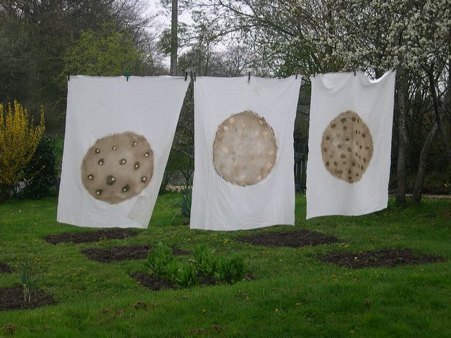 atelier07.jpg
