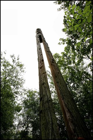 sequoia05.jpg